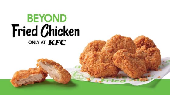 W KFC dostępny będzie roślinny kurczak. Ale czy na pewno dla wegan?